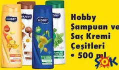 HOBBY ŞAMPUAN VE SAÇ KREMİ ÇEŞİTLERİ 500 ML